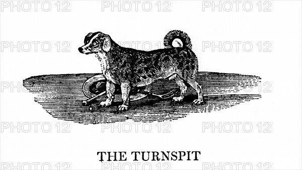 Turnspit