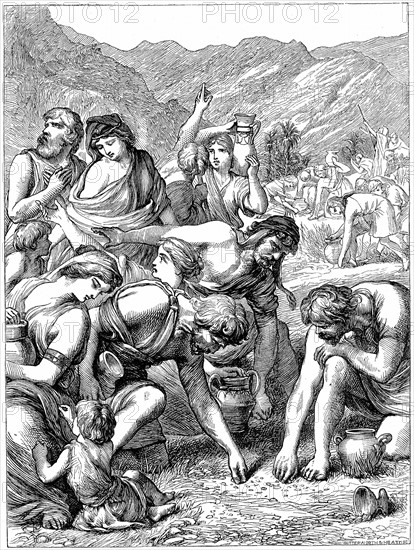 Israelites in the wilderness collecting the manna that fell from heaven