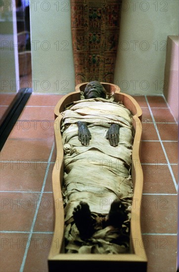 Ancient Egyptian mummy in wrappings