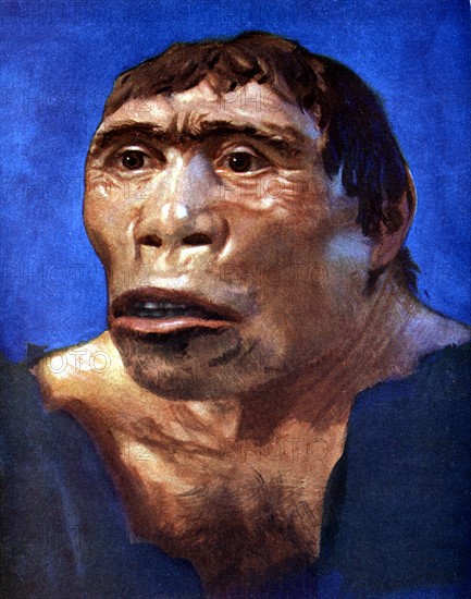 Reconstruction of Java Man