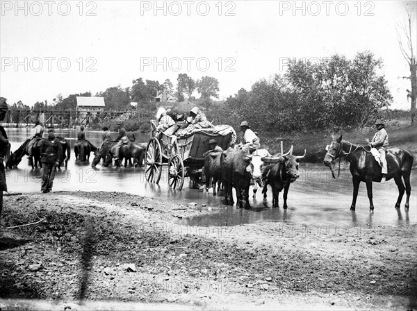 Black refugees travelling in bullock cart: American Civil War 1861-1865