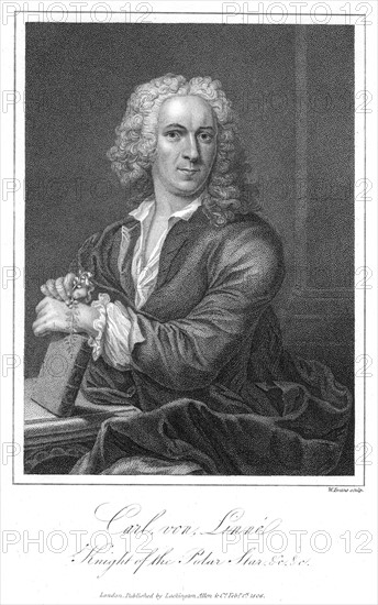 Linnaeus