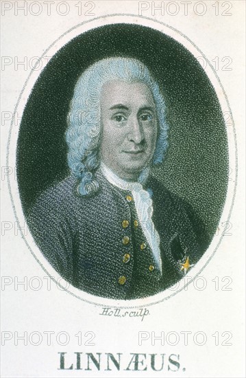 Linnaeus