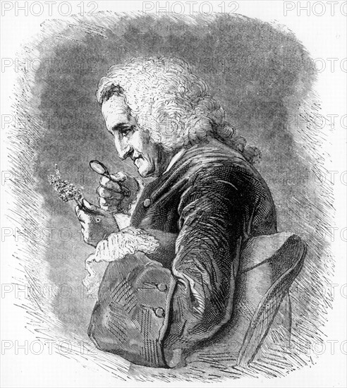 Bernard de Jussieu