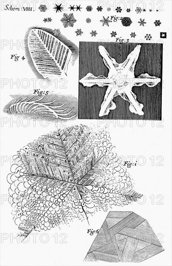 Observations of "Of several kinds of frozen figures" showing frozen urine