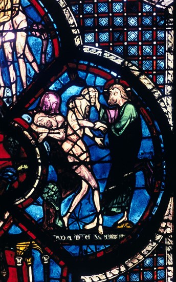 Stain glass window from the cathedral of Chartres