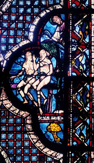 Stain glass window from the cathedral of Chartres