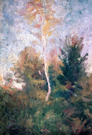 The Birch', 1869-1943