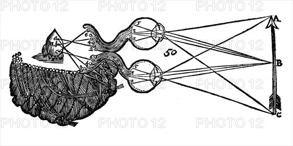 Diagram illustrating Descartes' idea of vision, showing the function of the eye, optic nerve and brain