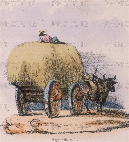 Haycart