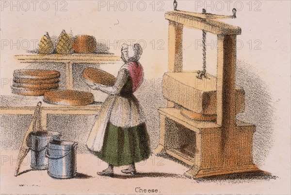 Chesse making