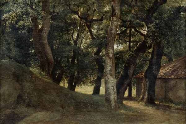 De Valenciennes, Forêt de la villa Borghèse