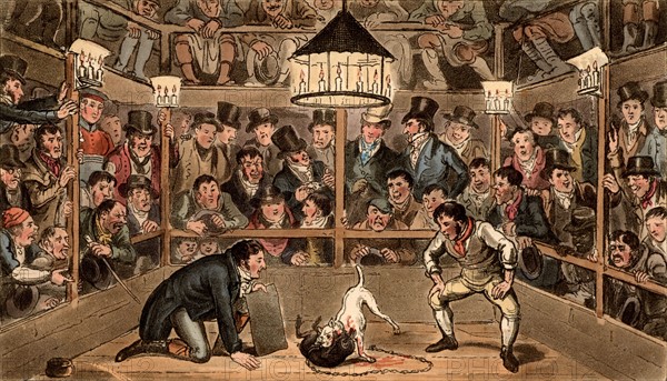 George and Robert Cruikshank, Tom and Jerry at the Westminster Pit