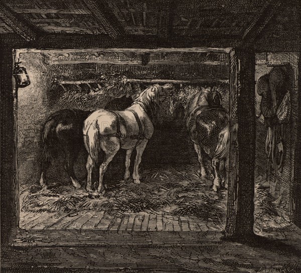 Pit ponies in their underground stable in a coal mine