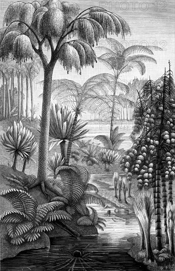 Artist's reconstruction of a forest during the Carboniferous period