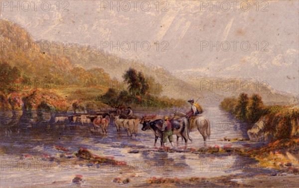 Welsh Drovers