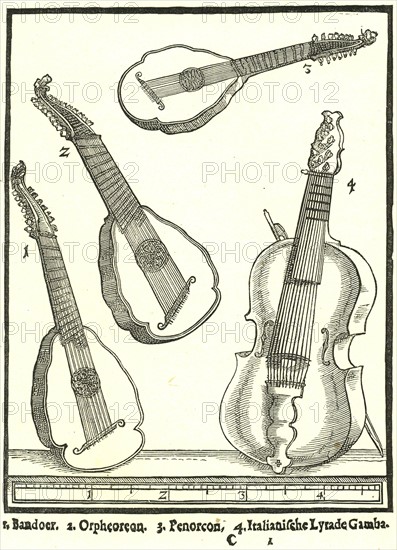 Stringed Instruments