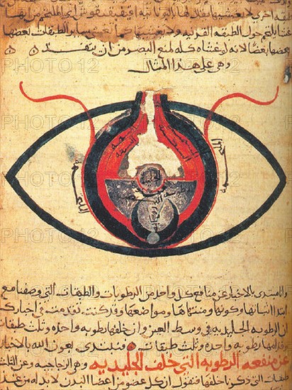 The eye according to Hunain ibn Ishaq also called Johannitius