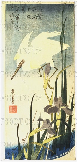 White Heron and Purple Iris', c1830