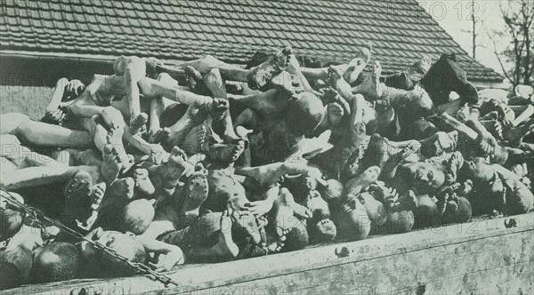 Buchenwald, Nazi concentration camp