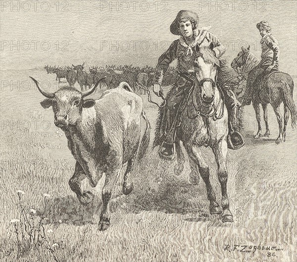 Cowboy going after a steer that has left the herd during a cattle drive: Montana