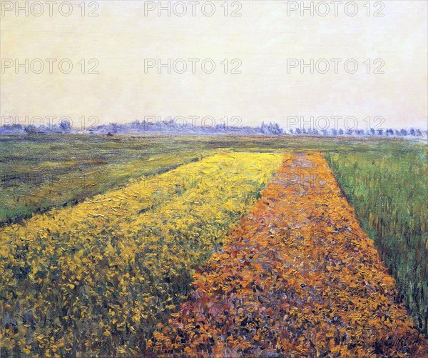 Caillebotte, The Yellow Fields at Gennevilliers