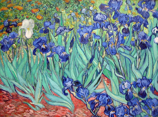 Van Gogh, Les Iris