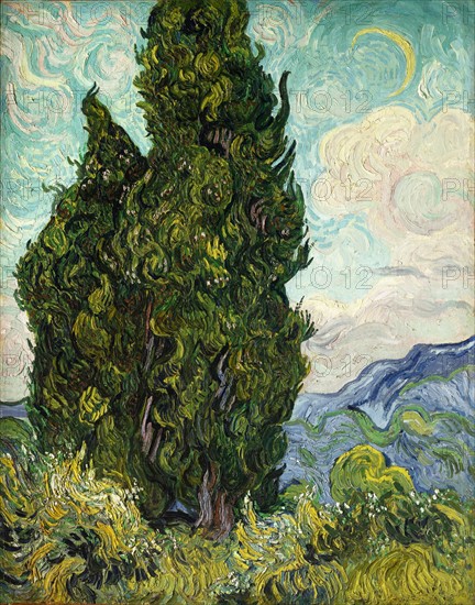 Van Gogh, Cypresses