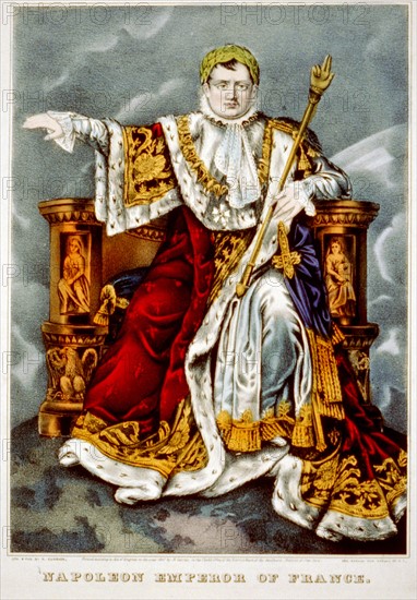 Napoléon Bonaparte dans ses habits de couronnement
