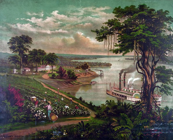 African-Americans picking cotton on plantation beside the Mississippi