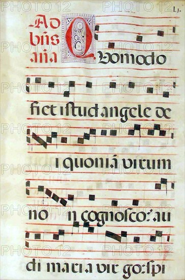 Leaf of Antiphonal