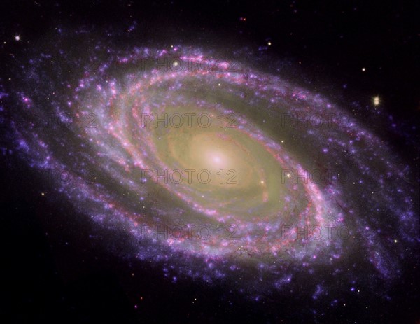 Galaxie spirale M81