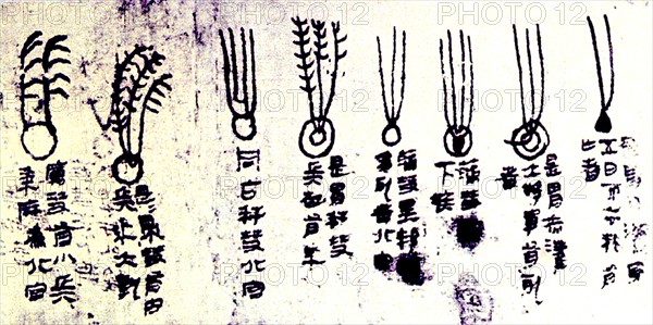 The Mawangdui silk, a Chinese 'textbook' of cometary forms