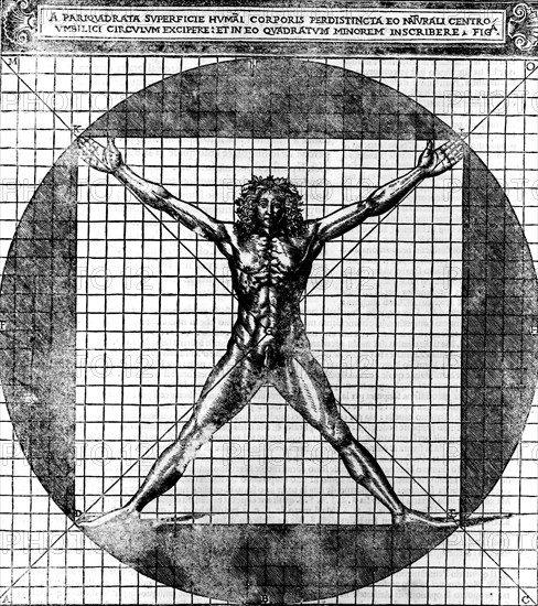 Proportions of the human body