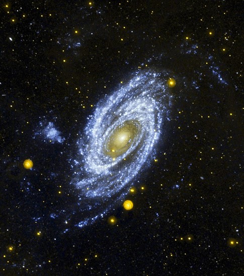 La galaxie spirale M81