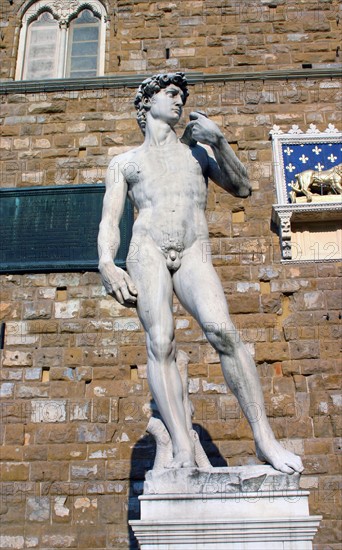 Copie de Michel-Ange, Statue de David