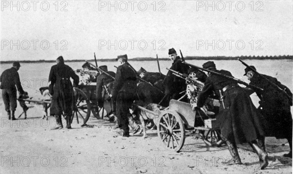 Belgian machine gunners transporting their weapons on carts pulled by dogs