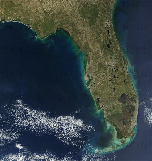 Bloom of the toxic alga 'Karenia brevis' in Florida