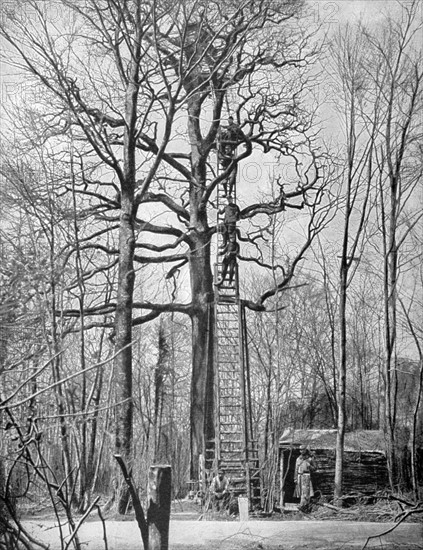 French artillery observation post, 1915