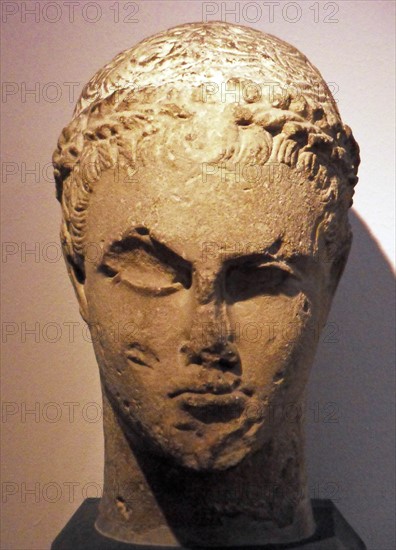 Head of a young man