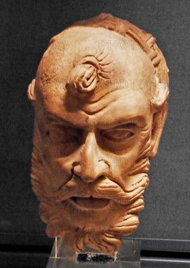 Head of an ascetic