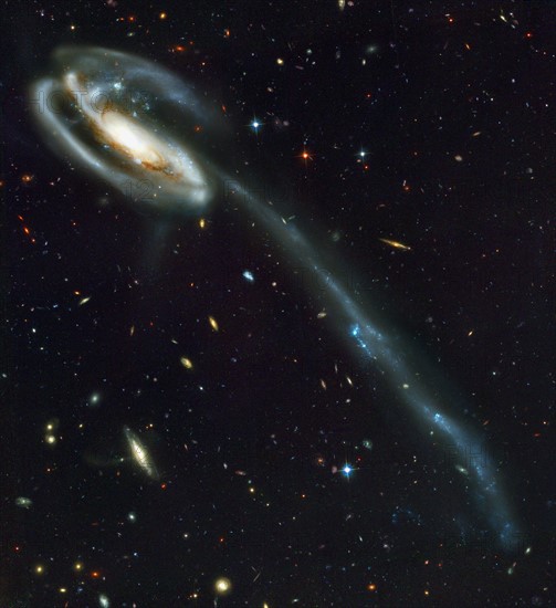 The Tadpole Galaxy