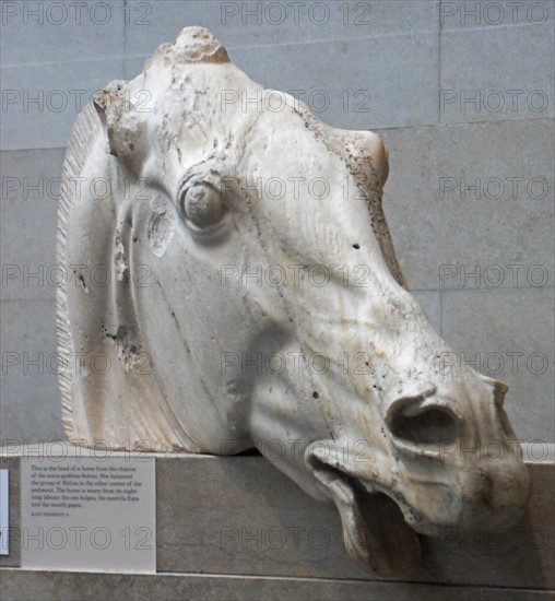Head of a horse of Selene