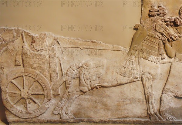 Chariot with wheel depicted in a stomne relief from Nimrud