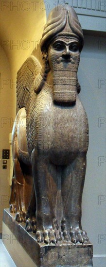 Winged human headed Lion