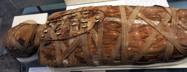 Mummy of a man with amulets on a frame