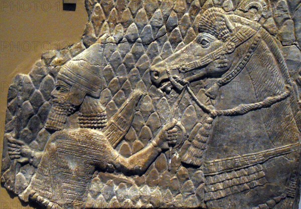 Assyrian relief showing a horse led by an archer