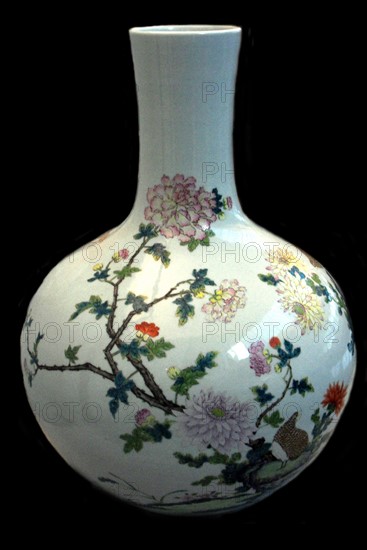 Bottle Vase called a Tianqiuping