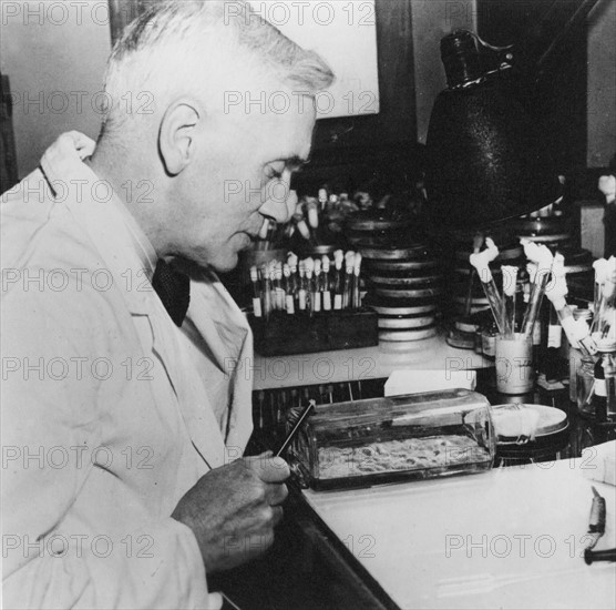 Alexander Fleming