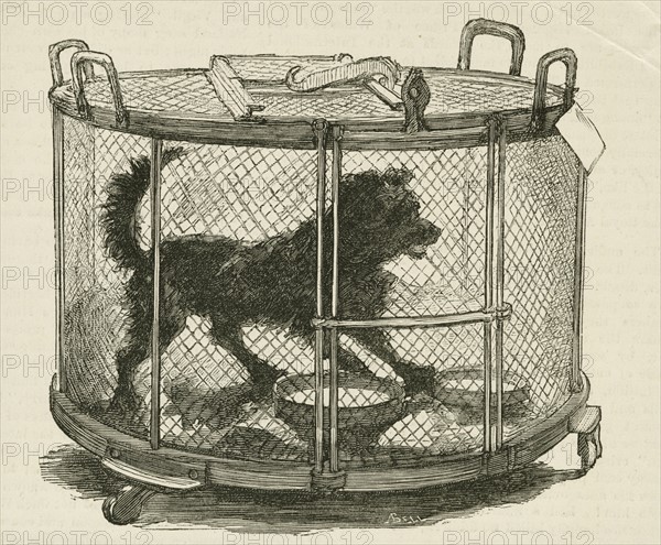 Cage containing inoculated used by Louis Pasteur
